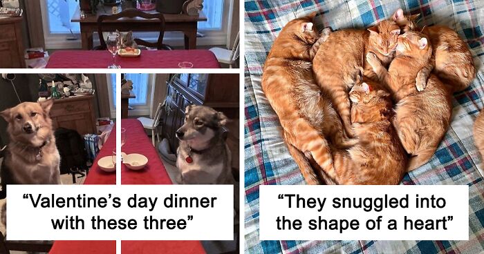 70 Wholesome Valentine’s Day Posts That Might Just Have You Smiling From Ear To Ear