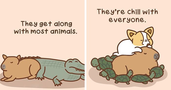 26 Wholesome Comics By Sonia Yeo, Starring A Playful Corgi And Its Furry Companions