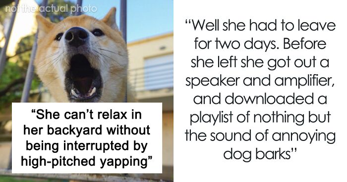 Mom Uses Speakers To Play Loud Barking Dogs For 2 Days To Get Revenge