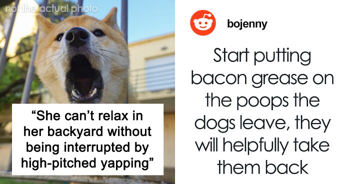 Woman Retaliates Against Annoying Neighborhood Dogs By Executing Petty Revenge