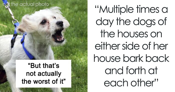 Woman Is Forced To Clean Up Dog Poop From Her Lawn, Teaches Neighbors A Lesson