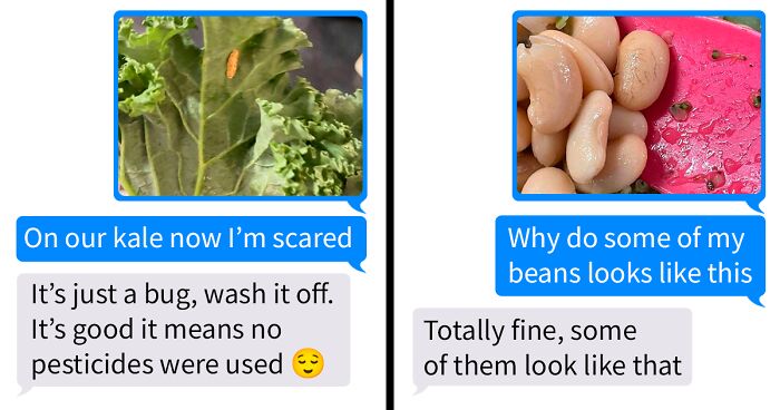 Woman Shares What Her Emetophobia Is Like Through Screenshots From Her Family Group Chat