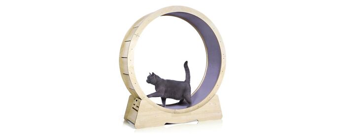 Qoility Cat Exercise Wheel