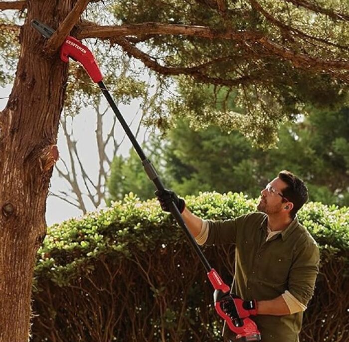 Elevate Your Pruning Game: Snag This Cordless Pole Saw !