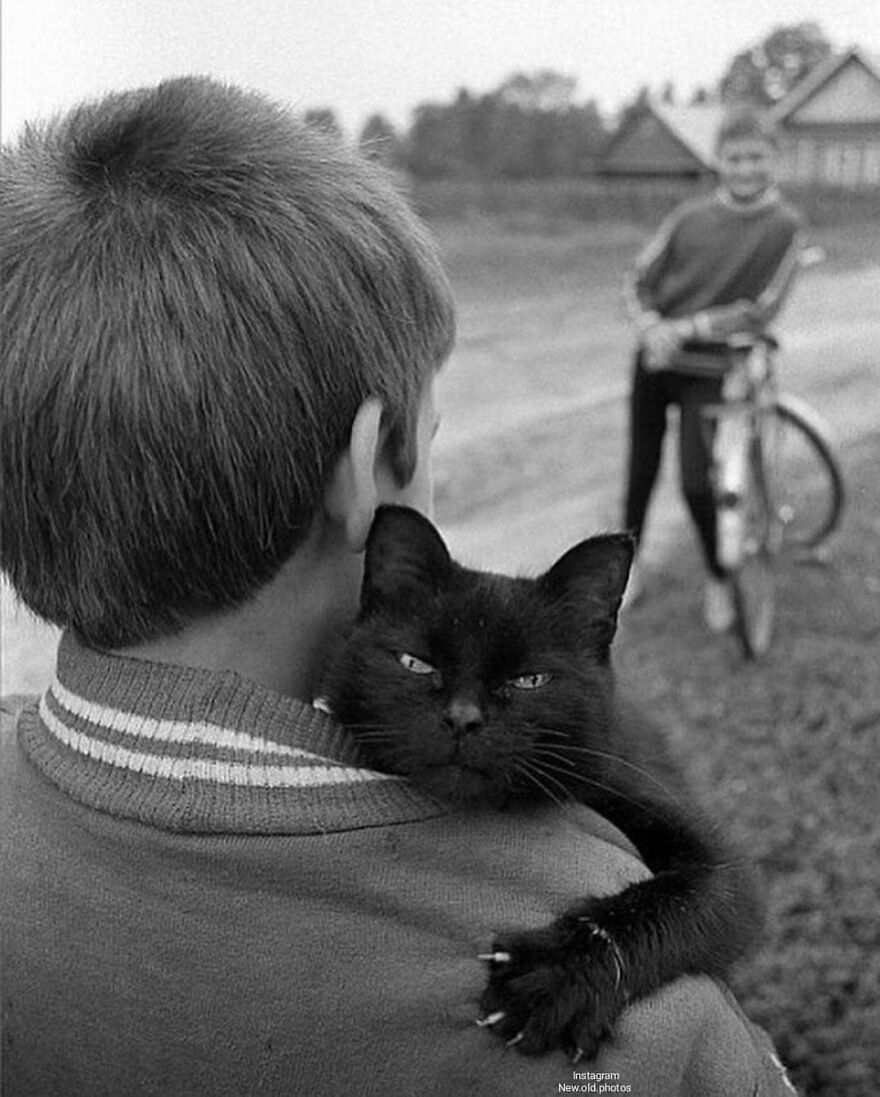 Black Cat Hug / Andy Prokh (B.1963) 🙀
russian Photographer 📸
facebook " Group "
vintage / History Of Everything & Nature
...................................
.
.
.
#blackcat #1963 #andyprokh #blackcats #catlover #blackcatlove #russian #1960s #russianphotographer #blackcatlover #blackcatlovers #blackanim #bets
#photography #vintagephotography #photographer
#cat #cats #weirdlook #scarylook #russianphotographer #cathug #hugcat