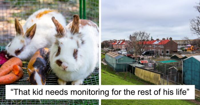 9-Year-Old Boy Ends Up In Care Program After Strangling Animals In Petting Zoo