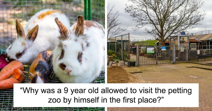 “He Showed No Emotion After The Act”: Dutch Boy Strangles 11 Animals In Petting Zoo