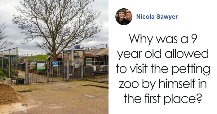 “Absolutely Despicable”: Primary School Student Strangles Guinea Pigs And Rabbits At Petting Zoo