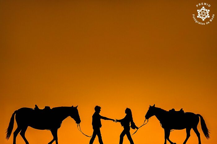 Silhouetted couple with horses against sunset, featured in incredible wedding photos of 2024.