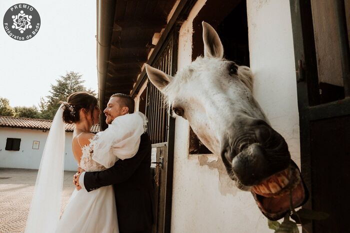 Bride and groom embrace beside a playful horse, capturing an incredible wedding moment selected by Premios FdB.