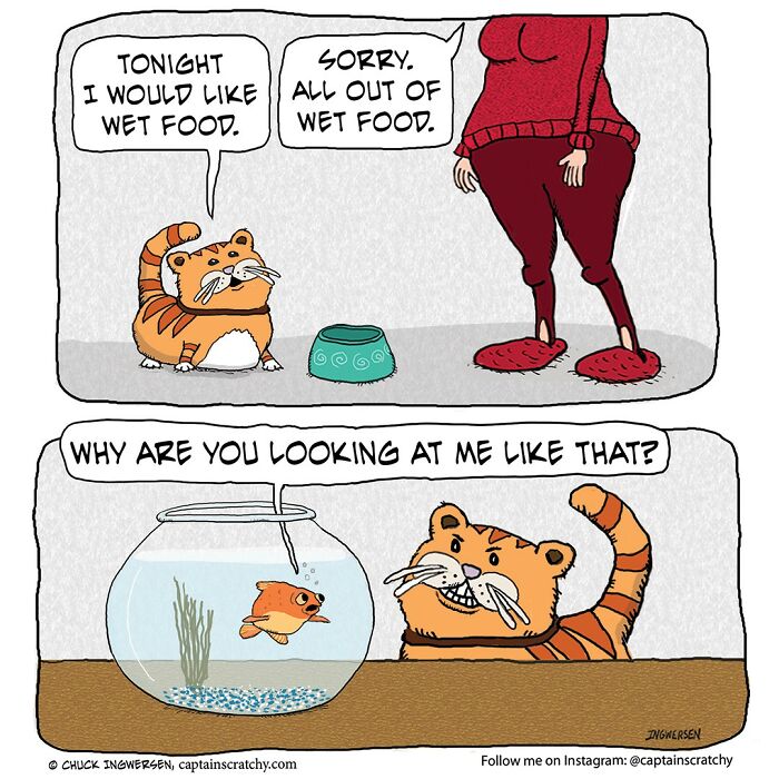 Funny Animal Comics By The Talented Captain Scratchy (New Pics)