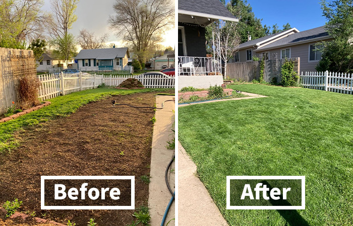 Green Up Your Spring: Score Big With Scotts Turf Builder Grass Seed Sun & Shade Mix !