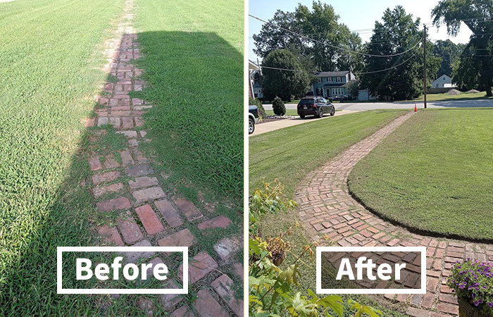 Say Goodbye To Weeds: Ortho Groundclear's Year-Long Vegetation Killer - Effortless Garden Perfection All Year Round