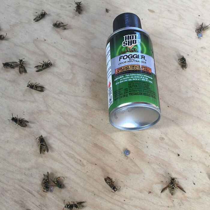 Banish Pests With Ease: Discover Hot Shot Fogger's Powerful Formula - Your Secret Weapon For A Pest-Free Home!