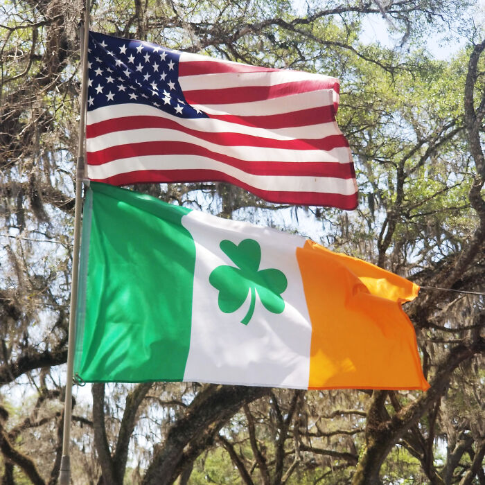 Embrace The Irish Spirit With The Fly Breeze Ireland Shamrock Flag 