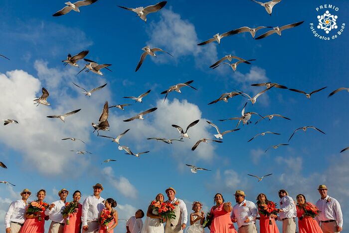 Group wedding photo with birds flying overhead, selected by Premios FdB, featuring a joyful bridal party with flowers.