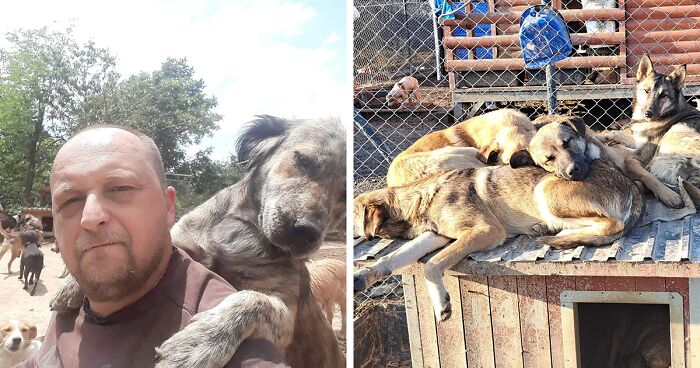 This Man And His Mother Started A Dog Shelter, And Many Years Later, The Sanctuary Houses Over A Thousand Dogs