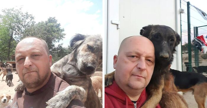 Sheltering Thousands: The Heartwarming Story Of A Serbian Man's Dedication To Dogs