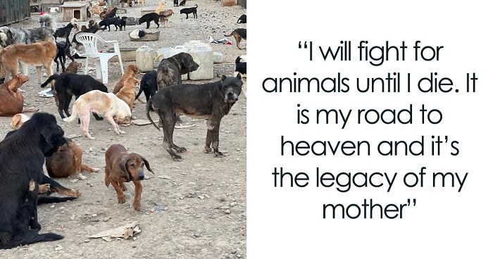 This Serbian Man's Shelter Houses Thousands Of Dogs With Love