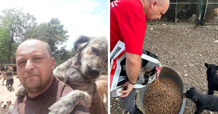 This Serbian Man's Shelter Houses Thousands Of Dogs With Love