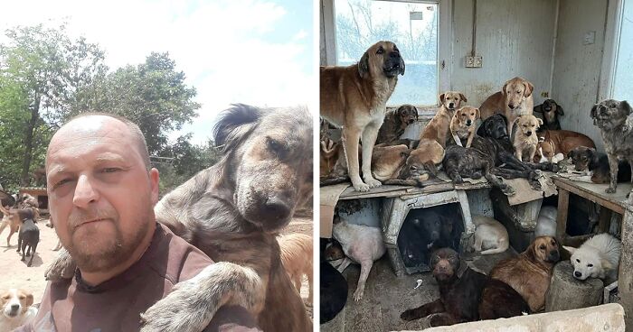 This Serbian Man Houses Thousands Of Dogs In His Shelter