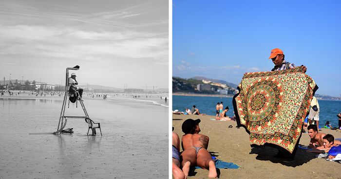 I Took Pictures Of Beach Life, Capturing The Diverse Aspects Of This Fascinating World (39 Pics)