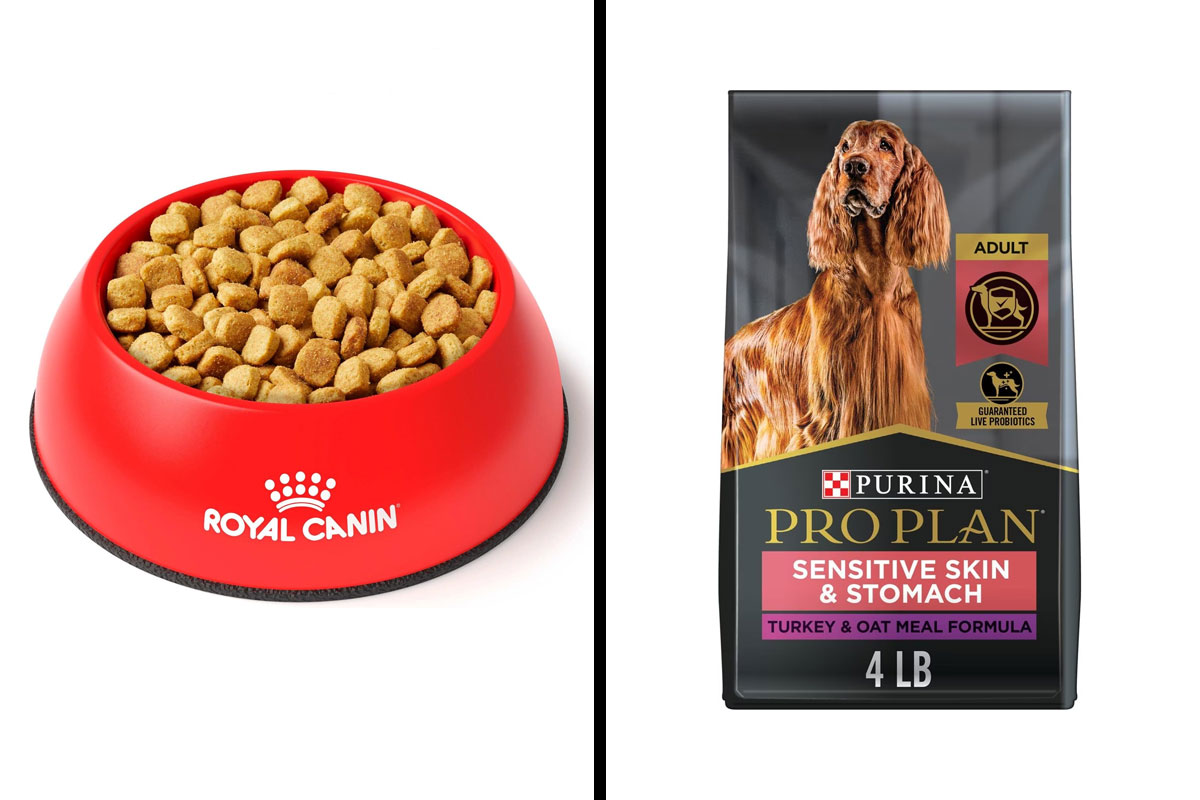 Best Dog Food For Allergies According To Vet Bored Panda