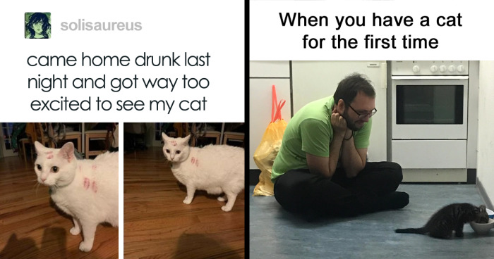 107 Funny Memes From This Instagram Account Anyone Obsessed With Cats Would Enjoy