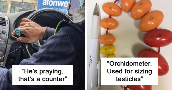 The 98 Very Best Posts About Identifying Weird Objects From The “What Is This Thing?” Community