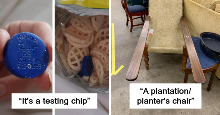 “It's Going To Be Worth More Than You Think”: The 98 Best Posts From The “What Is This Thing?” Group