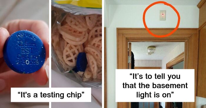 “What Is This Thing?”: The 98 Very Best Pics From When People Stumbled Upon Mysterious Objects