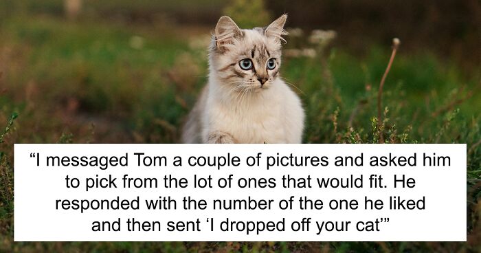 Woman Calls Off Wedding Over Fiancé's Cruelty To Cat, Netizens Applaud Her For It