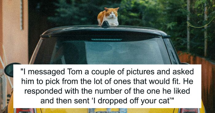 Guy Drops Fiancée’s Cat In A Random Park For ‘Scratching’ His Car, She Decides To Part Ways