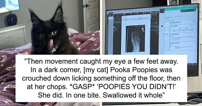 Woman Feels That Her Getting Her Toe Sliced Off And Eaten By Her Cat Only Strengthened Their Bond