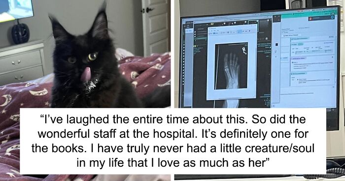 Woman Who Calls Her Cat A “4-Pound Garbage-Disposal Goblin” Said It Ate Her Sliced-Off Toe In One Go