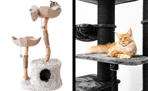 Best Cat Trees And Condos For Large Cats In 2024