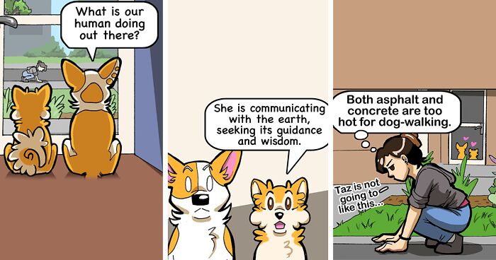 I Create Comics About The Funny Reality Of Being A Dog Owner (40 New Pics)