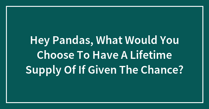 Hey Pandas, What Would You Choose To Have A Lifetime Supply Of If Given The Chance? (Closed)