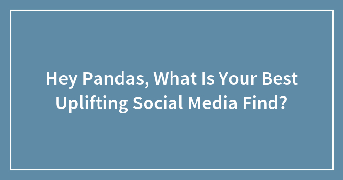 Hey Pandas, What Is Your Best Uplifting Social Media Find?