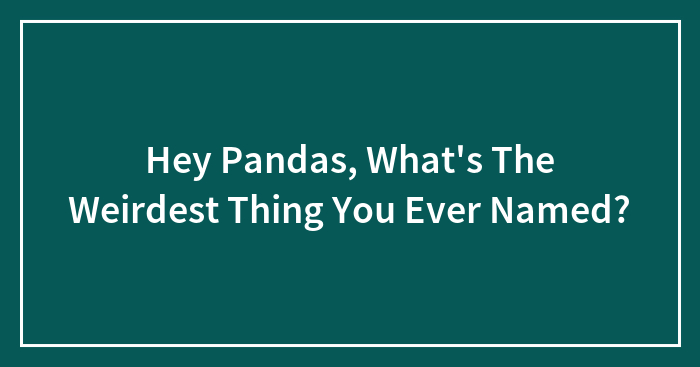 Hey Pandas, What’s The Weirdest Thing You Ever Named? (Closed)