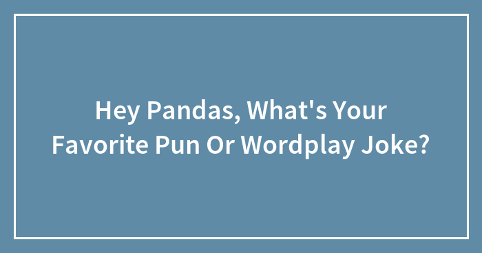 Hey Pandas, What’s Your Favorite Pun Or Wordplay Joke? (Closed)