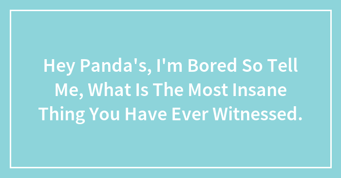 Hey Panda’s, I’m Bored So Tell Me, What Is The Most Insane Thing You Have Ever Witnessed.