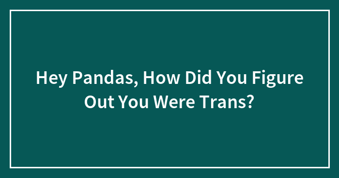 Hey Pandas, How Did You Figure Out You Were Trans? (Closed)