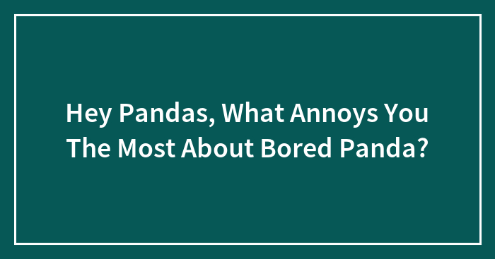 Hey Pandas, What Annoys You The Most About Bored Panda? (Closed)