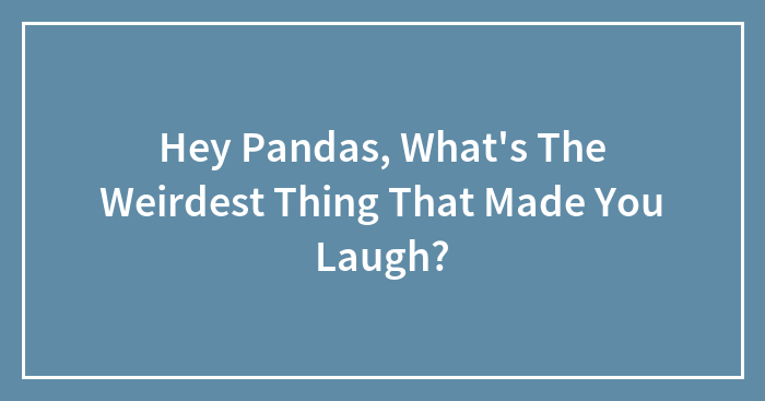 Hey Pandas, What’s The Weirdest Thing That Made You Laugh? (Closed)