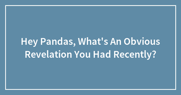 Hey Pandas, What’s An Obvious Revelation You Had Recently? (Closed)