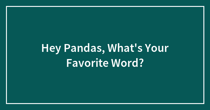 Hey Pandas, What’s Your Favorite Word? (Closed)