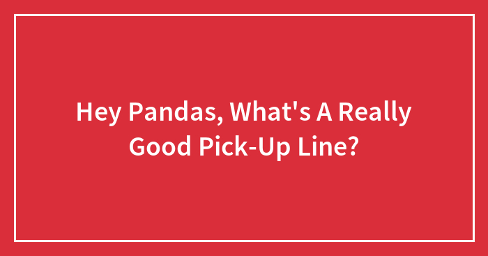 Hey Pandas, What’s A Really Good Pick-Up Line? (Closed)