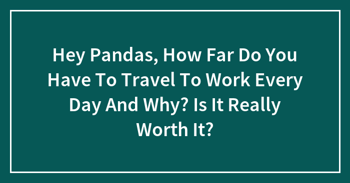 Hey Pandas, How Far Do You Have To Travel To Work Every Day And Why? Is It Really Worth It?