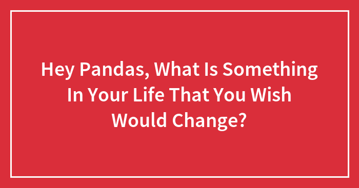 Hey Pandas, What Is Something In Your Life That You Wish Would Change? (Closed)